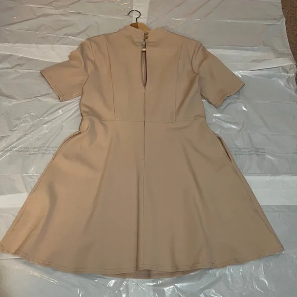 NWT ASOS Lace Panel Fit & Flare Dress Soft Taupe Beige/ Nude Beige Size US 12 - Picture 12 of 16